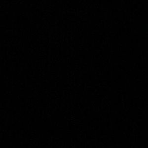 Meet your Posher, Aryanna